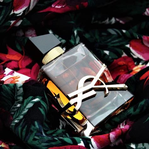 ysl libre yorum